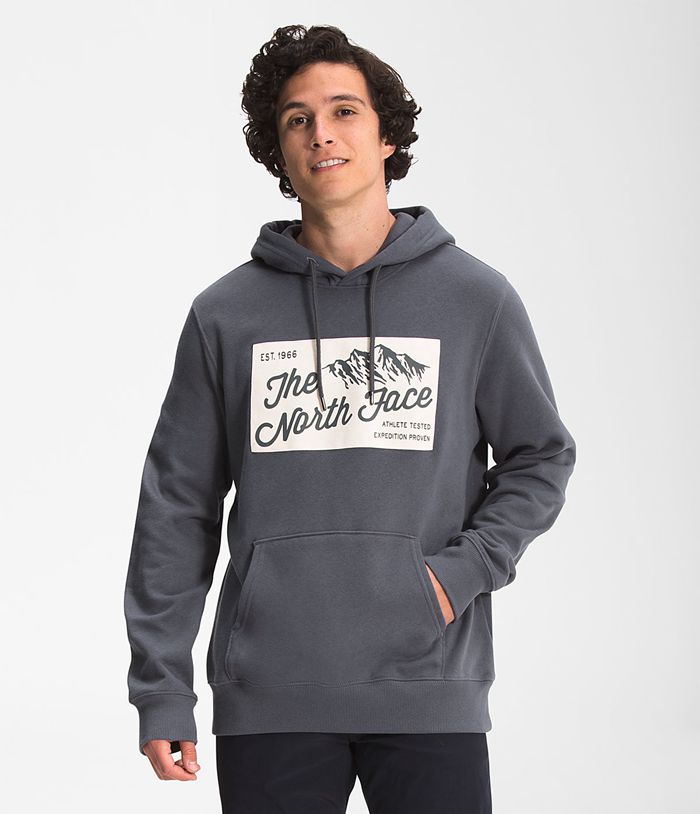 The North Face Hoodie Heren Holiday AIZV18503 - Grijs